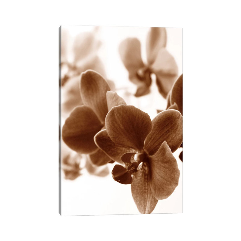 Dreamy Orchids II by Ily Szilagyi - Wrapped Canvas Print, 66.04 cm H x 45.72 cm W x 1.91 cm D