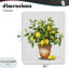Toile de citronnier en pot, design par Shelly Craig-665884117