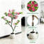 Plant-1624312190