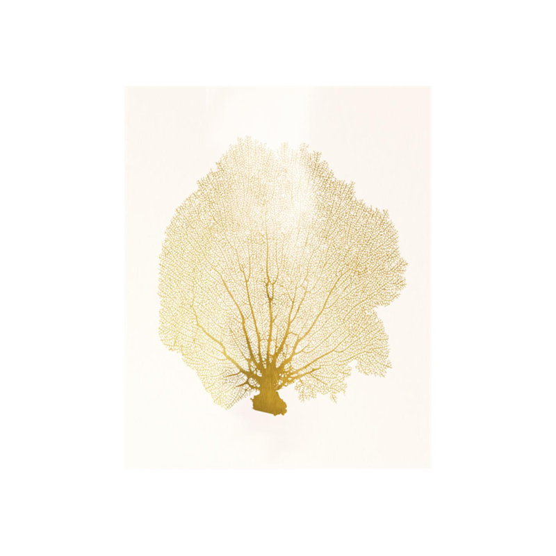 Blush Coral I Print by Sofia Fox, Matte, 30" H x 24" W