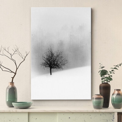 Winter " Dark Tree In Winter Snow Forest "
