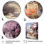 Kreta French aixenprovence garden II, reproduction d'art sur toile-214865527-214865530