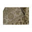 Chantel Oriental Area Rug in Ivory