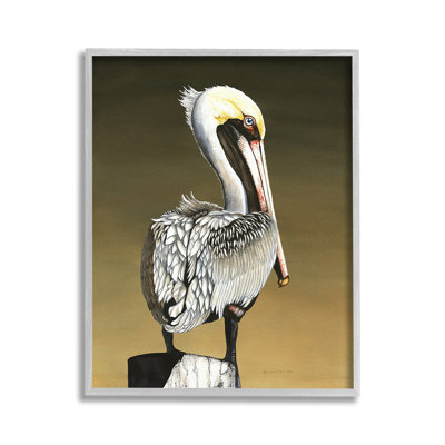 Pelican with Intense Gaze Framed Giclee Art by Christine Reichow