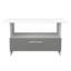 Fully Assembled Heimgard Sled Coffee Table with Storage