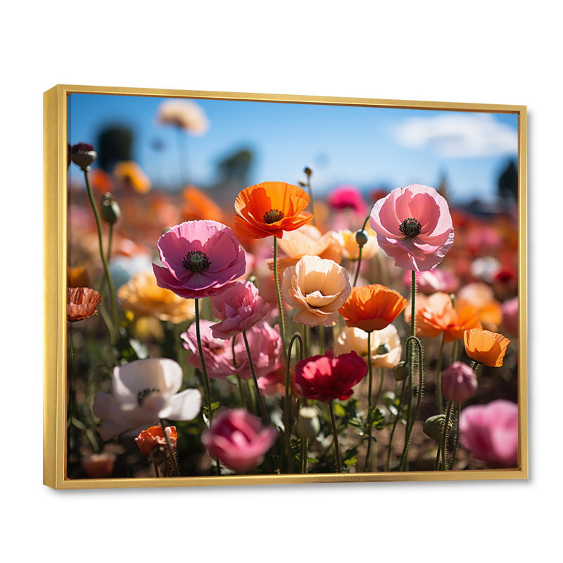 Champ de fleurs vibrantes I, H 16 po x l 32 po x P 1 po, Cadre flottant doré