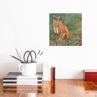 Cougar Sitting by David Stribbling - Wrapped Canvas Print