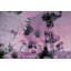 1 Piece Wrapped Canvas Wall Art-16670949