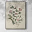Pressed Arrangement I, reproduction encadrée - bois massif 49772-854618476