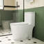 White Ceramic Toilet, 1.1/1.6 , Elongated, Comfortable, Soft Close Seat, & , T036wt One Comfort Height, White,