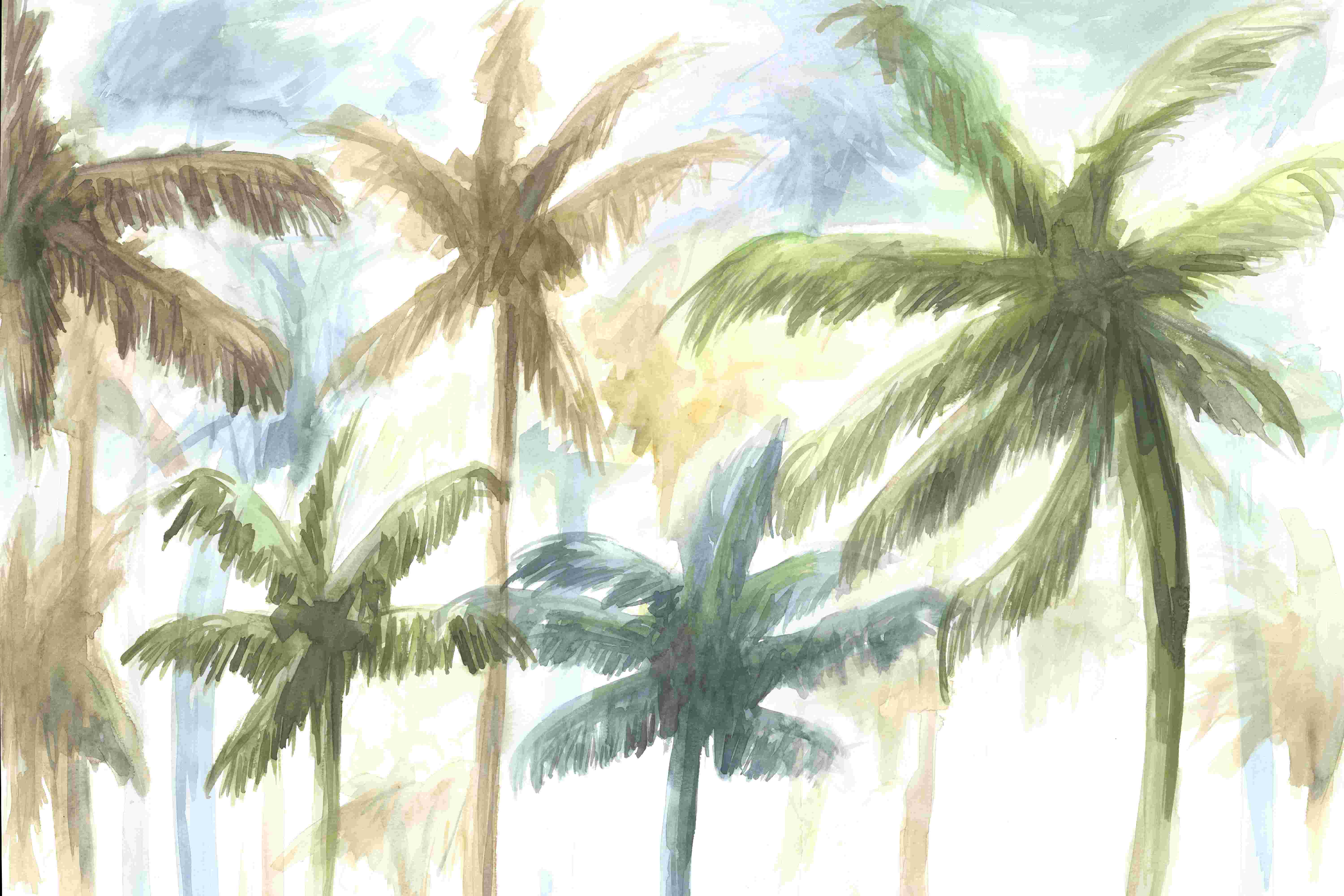 Bay Isle Home™ Palm Trees - Wrapped Canvas Painting | Wayfair