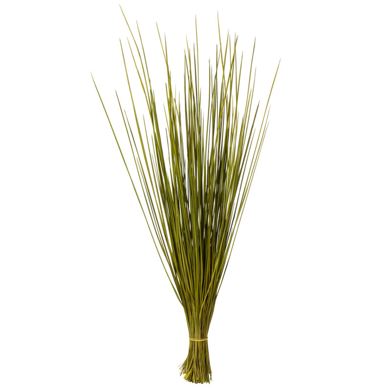 Faux Whip Grass Plant Preserved