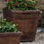 Vendange Planter-361715997