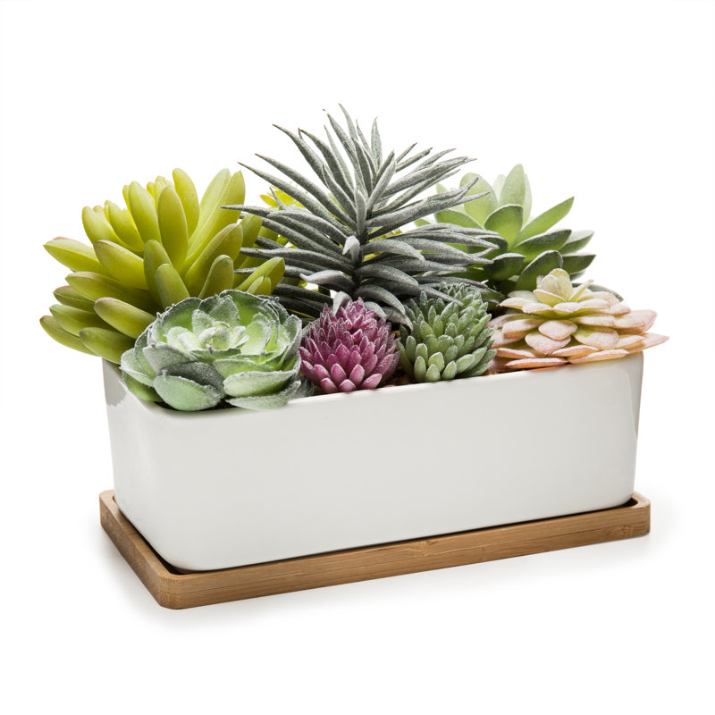 Ember 5.5'' Faux Succulent in Pot