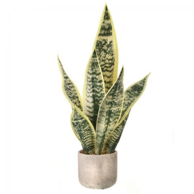Potted Sanseveria Plant Faux Plants And Trees