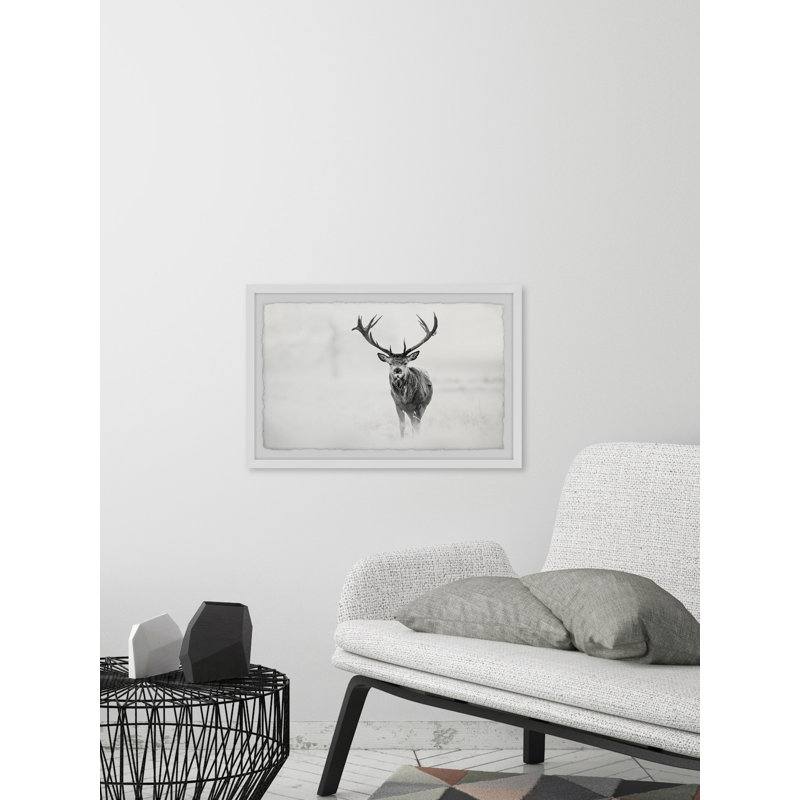 'Elk Stare' Framed Print on Paper, 24" H x 36" W x 1.5" D