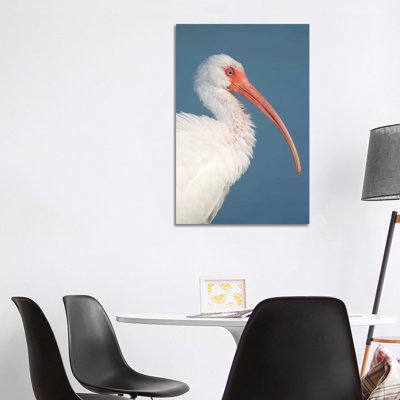 White Ibis, Fort Myers Beach, Florida II 1 Piece Wrapped Canvas Wall Art