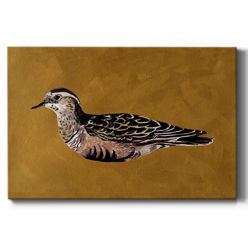 Toile tendue I-Gallery Feathered Friend, H 24 po x l 36 po