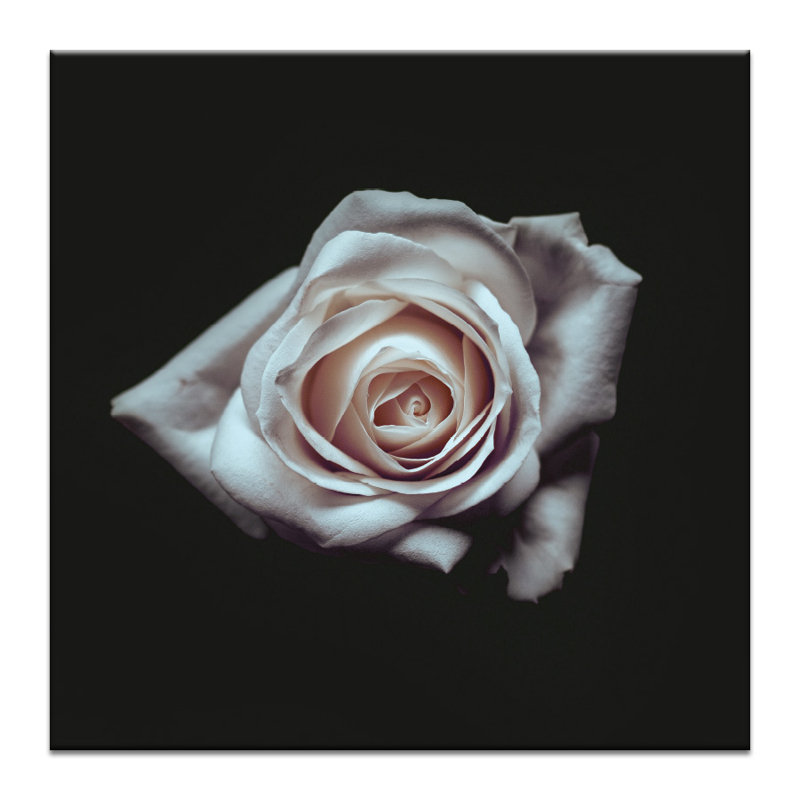 Print on Canvas, 41cm H x 41cm W, Wrapped Canvas