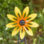 Piquet de jardin 44 "H-1302994726