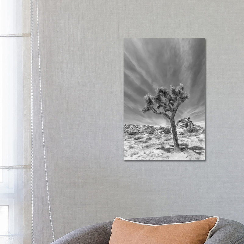 Lonely Joshua Tree Monochrome by Melanie Viola - Wrapped Canvas Print, 66.04 cm H x 45.72 cm W x 1.91 cm D