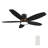 Smart DC Motor Ceiling Fan with LED Light, Remote control-2016644020-2074208054