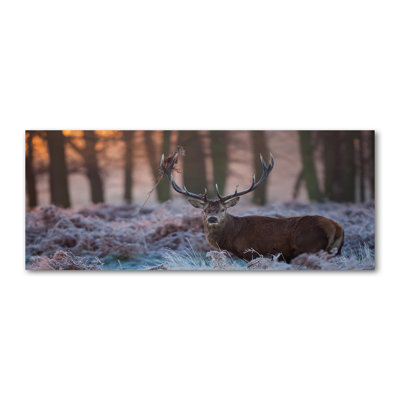 Deer at Sunrise 1 Piece Wall Art on Canvas