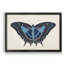 «Beautiful Butterfly III», impression sur toile encadrée-1317696984-1317696985