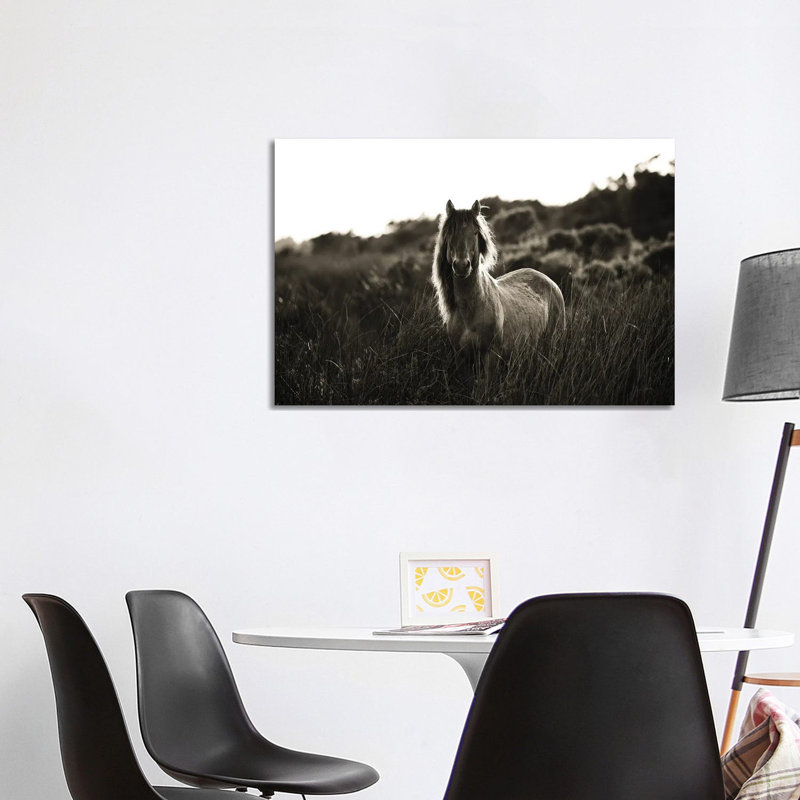 Evening Glow by Aledanda - Wrapped Canvas Print, 101.6 cm H x 66.04 cm W x 3.175 cm D