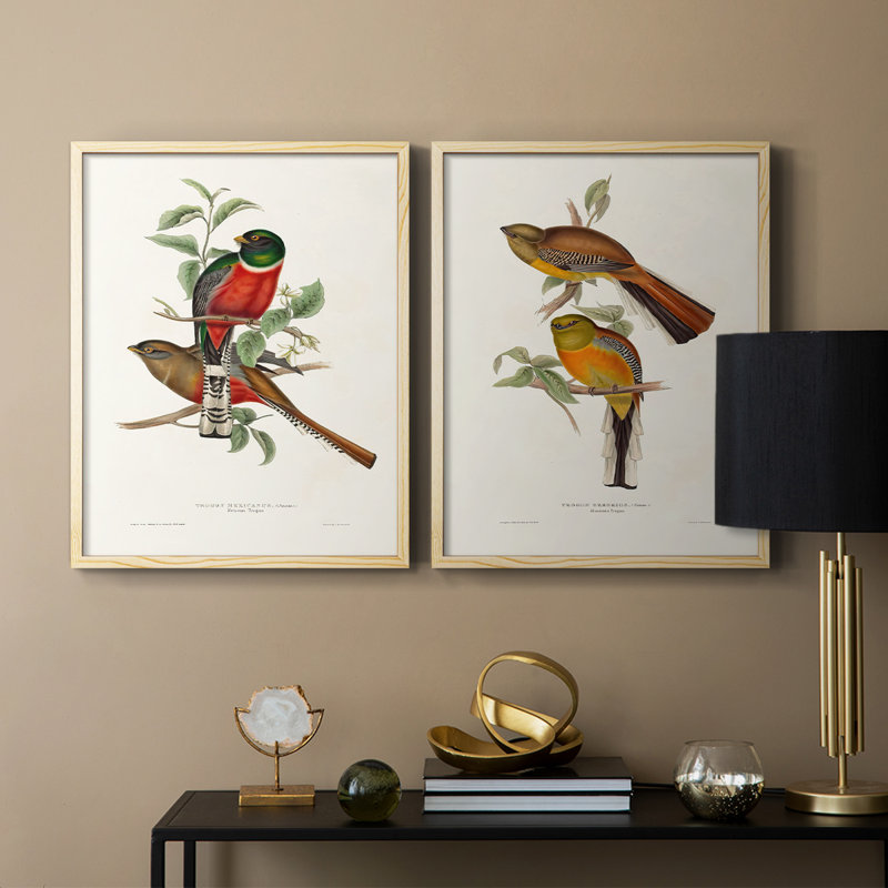 Impression encadrée ElegantTrogonsI-Premium - prête à être accrochée - aucun clou requis - aucun clou requis, Bois naturel