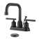 Centerset 2-handle Bathroom Faucet with Drain Assembly