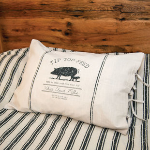 Cotton Striped Sham Set