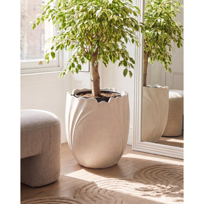 Pot Planter