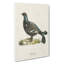 Black Grouse by Von Wright - Wrapped Canvas Painting-55313878