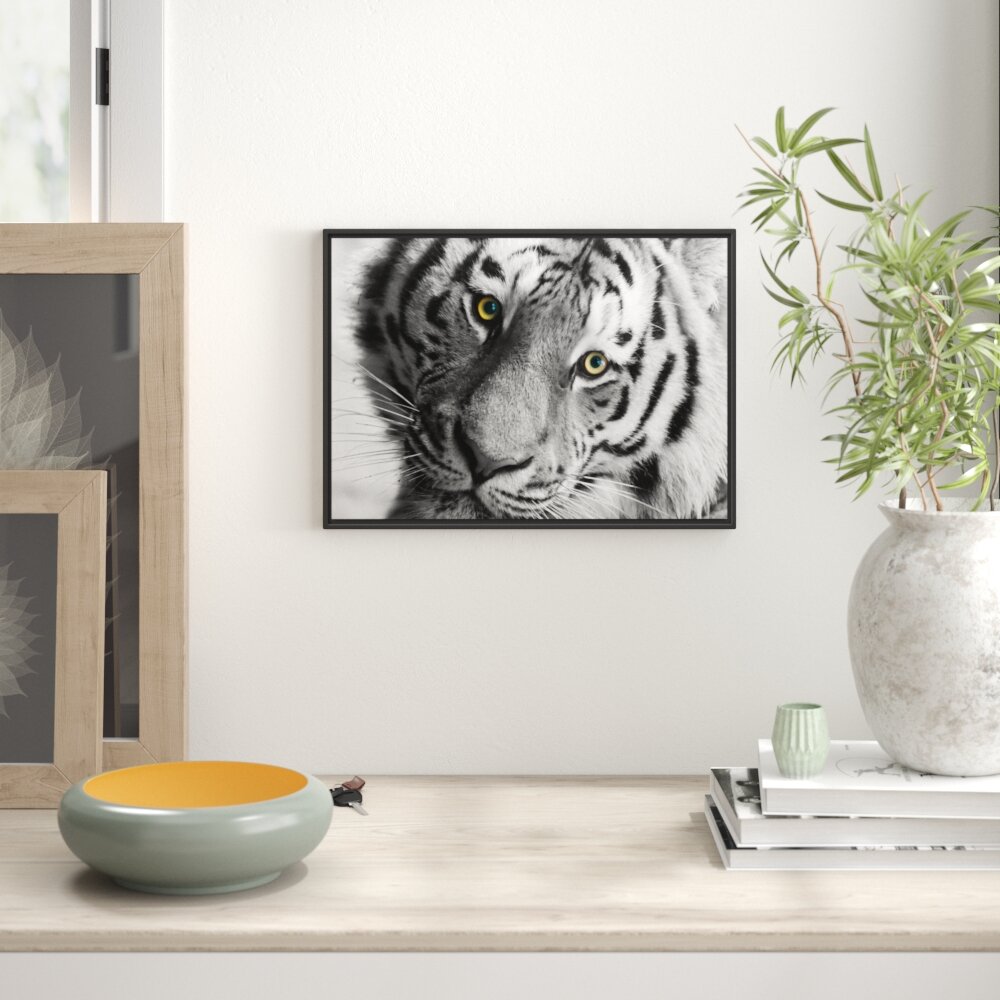 Gerahmter Fotodruck 'Beautiful Tiger'