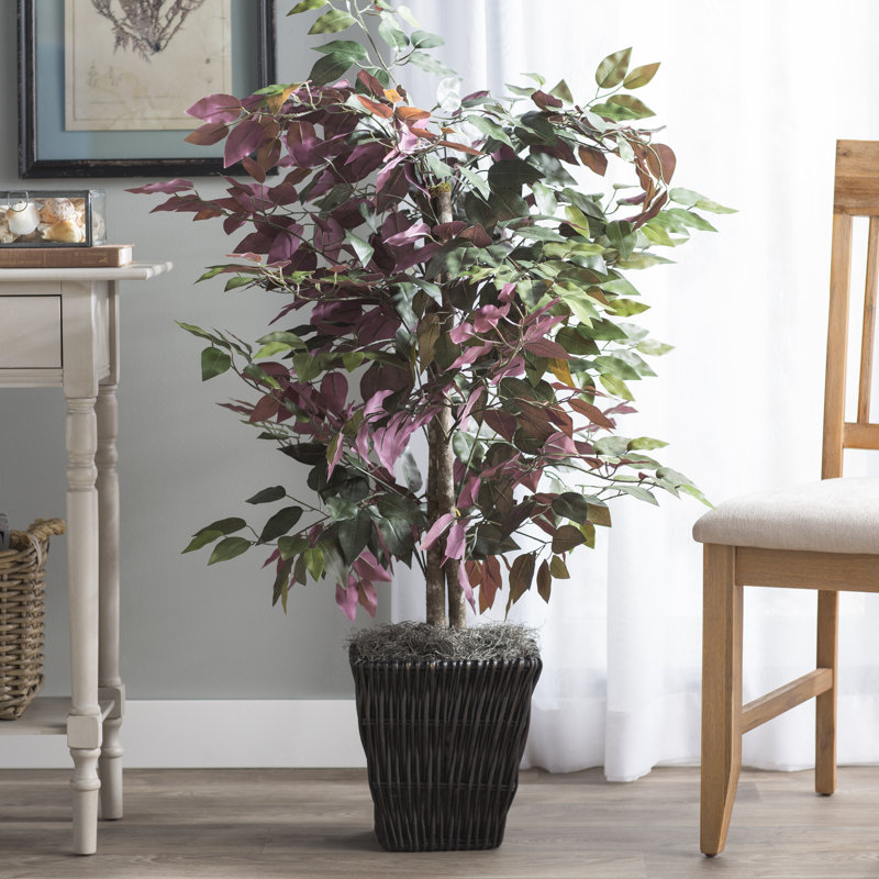 4' Artificial Capensia Bush, Square Willow Basket