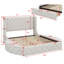 Queen Size Platform Bed With Wingback Headboard, Velvet Upholstery, One Large Drawer And Two Side Stools For Storage-1018824569