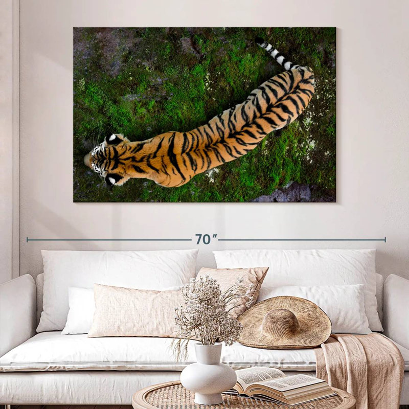 Brampt Tiger From Above, 34" H x 51" W