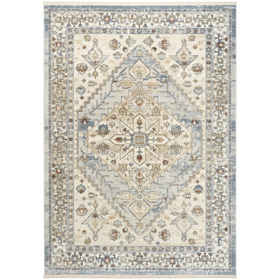 Pardis Blue Taupe Vintage Indoor Rug