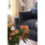 Serena 88'' Sofa