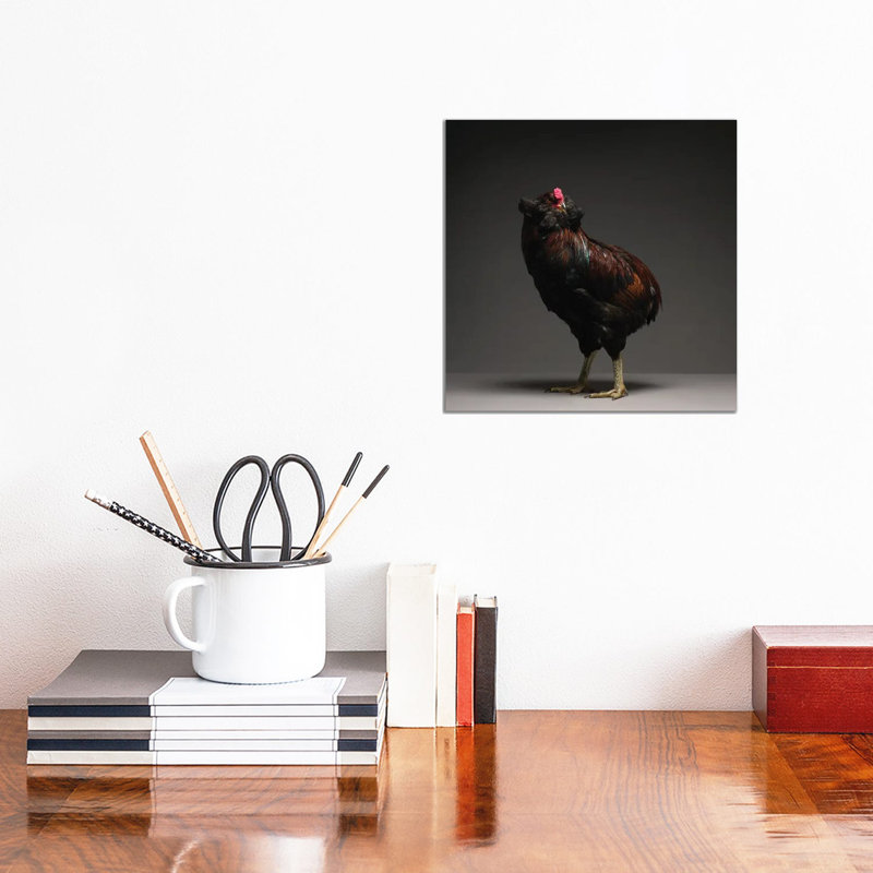 Araucana - Wrapped Canvas Print, 30.48 cm H x 30.48 cm W