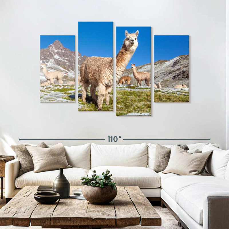 Lamas des Andes Brampt, H 54 po x l 84 po