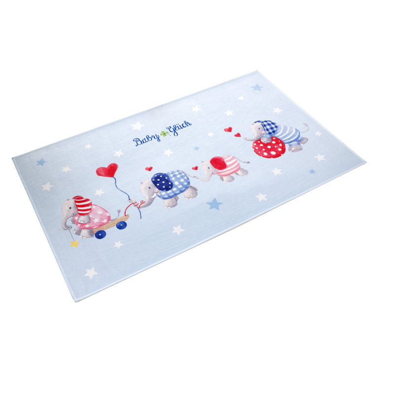 160cm X 100cm Area Rug