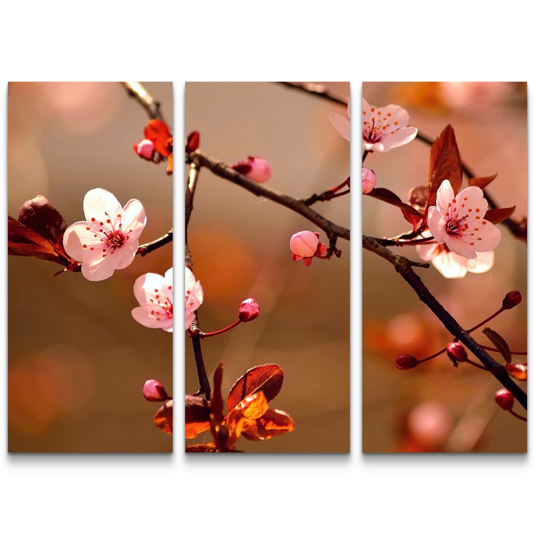 3-tlg. Leinwandbilder-Set Japanische Kirschblüte Sakura