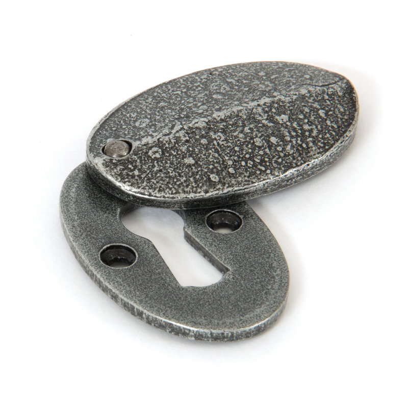 Escutcheon & Cover Door Accessory, Pewter