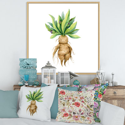 " Mandragora Plant " Painting Print