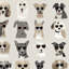 Papier peint chiens avec lunettes de soleil