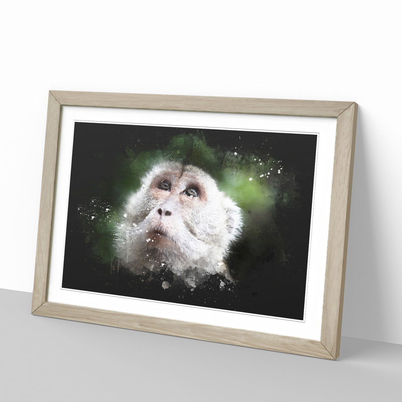 Macaque Monkey - Picture Frame Graphic Art, Oak Framed, 48cm H x 65cm W x 2cm D