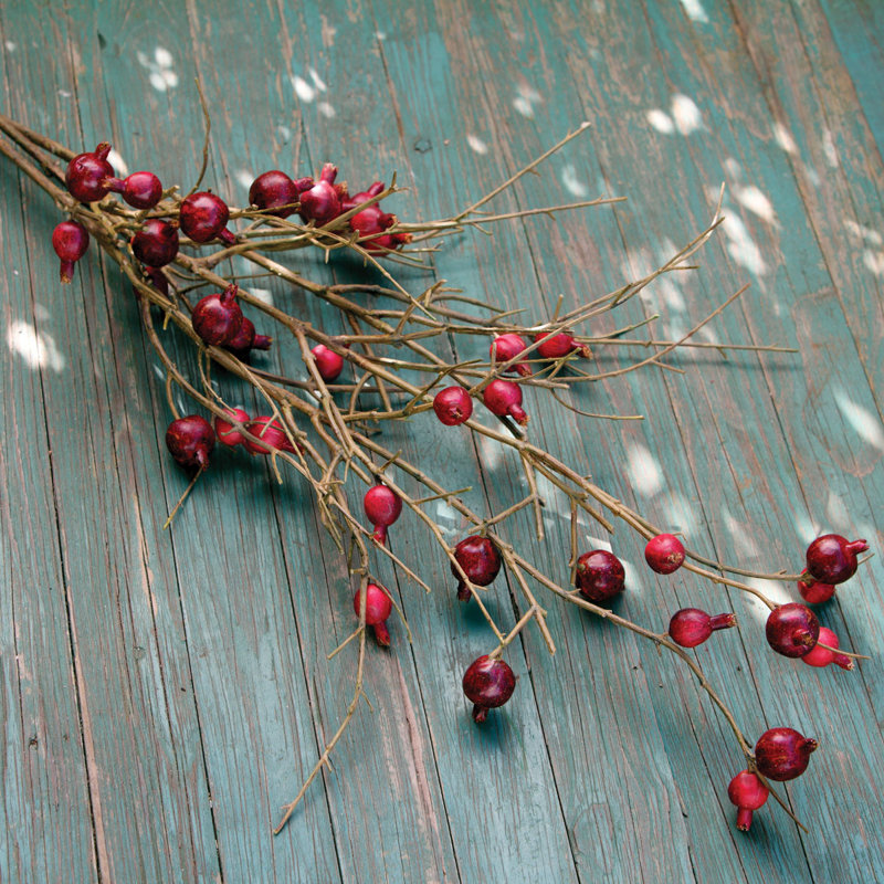 Pomegranate Branch 48"
