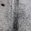 Cowhide Rug Speckled